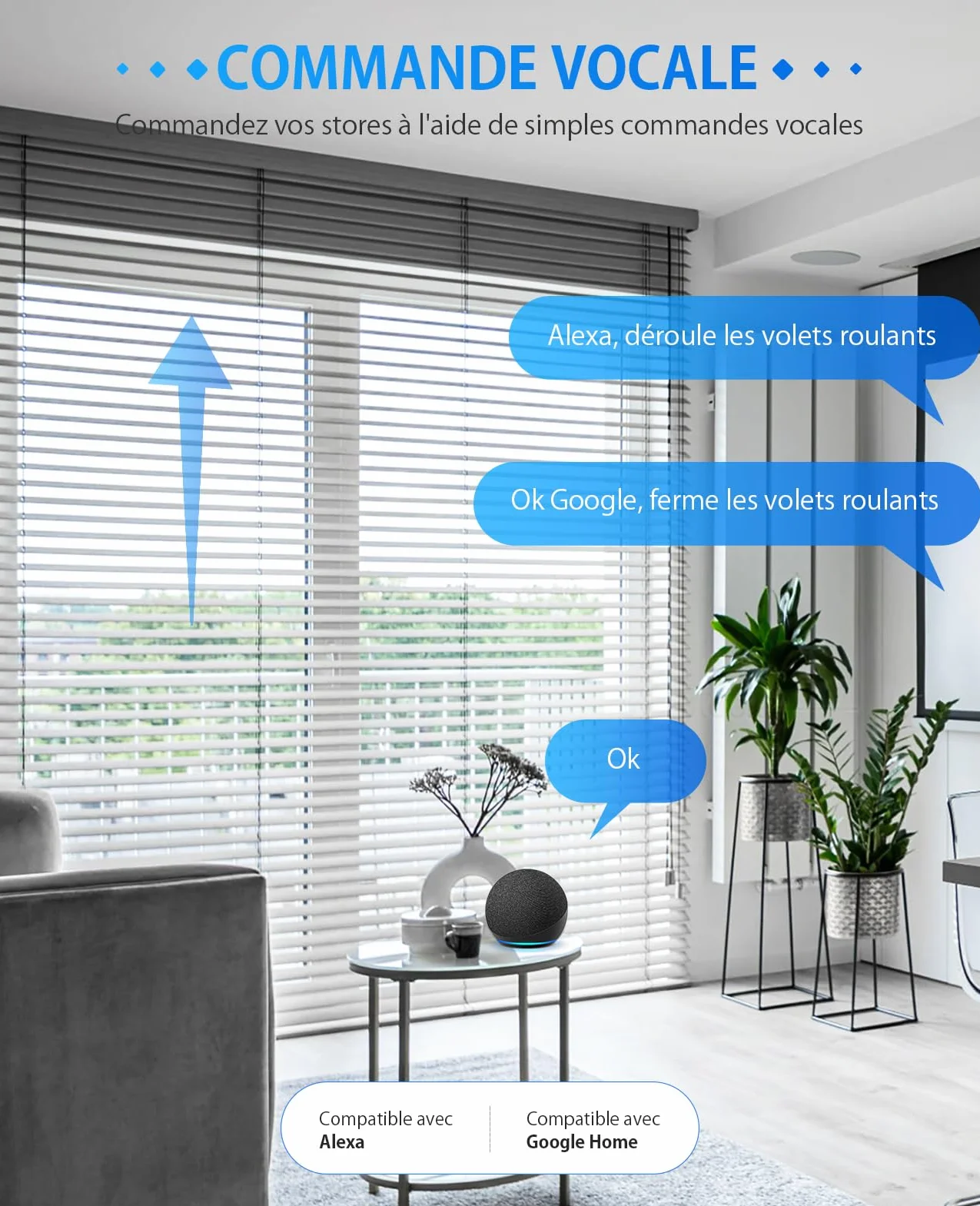 Interrupteur Volet Roulant Connecté CS01, Compatible Alexa/Google Home/Smart Life, Commande Vocale et APP