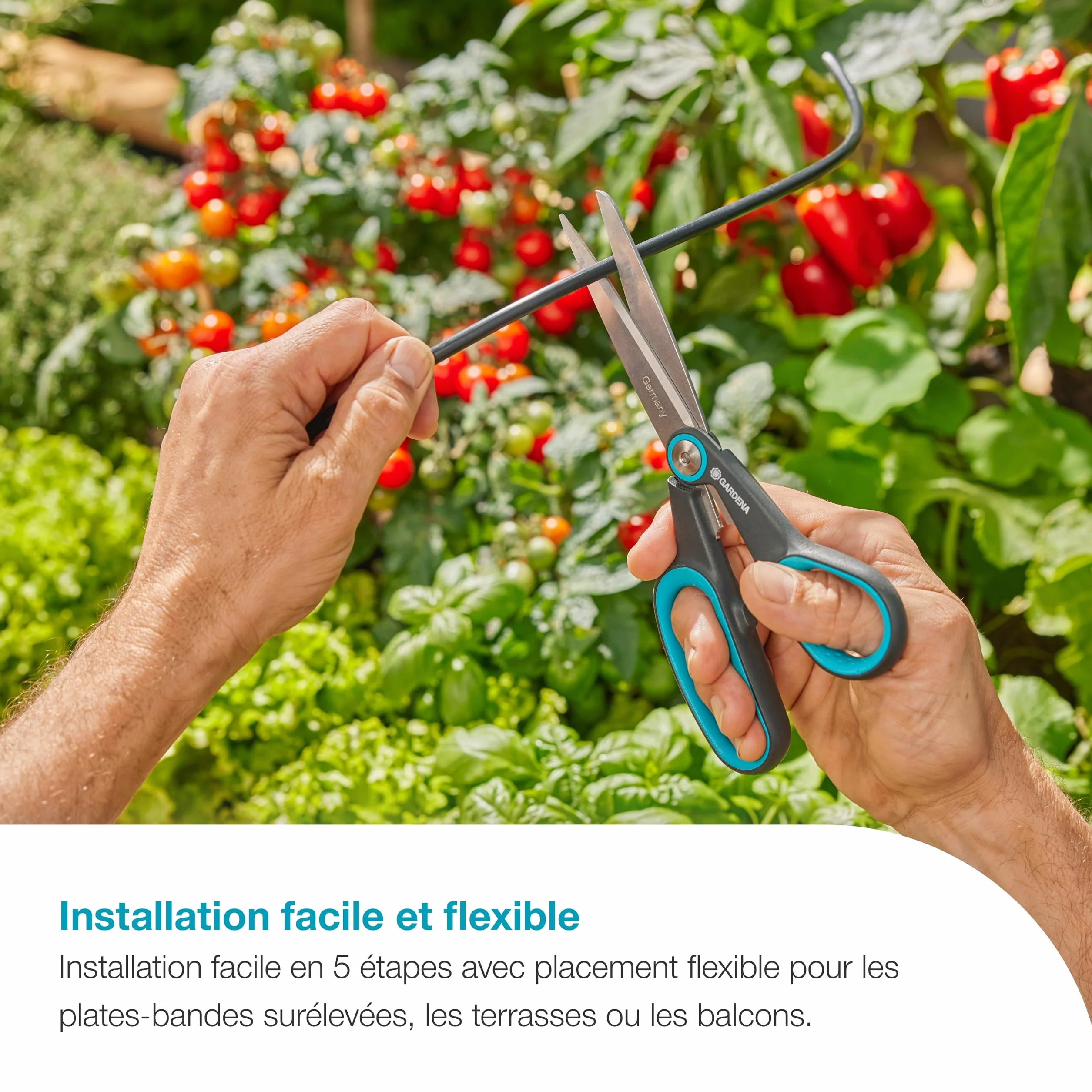 Gardena AquaBloom L Set Système d'Arrosage Autonome pour 30 Plantes
