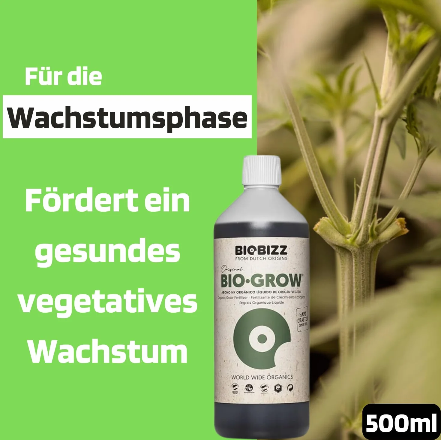 Biobizz Pack Démarrage Engrais Liquide pour Plantes Set de Croissance