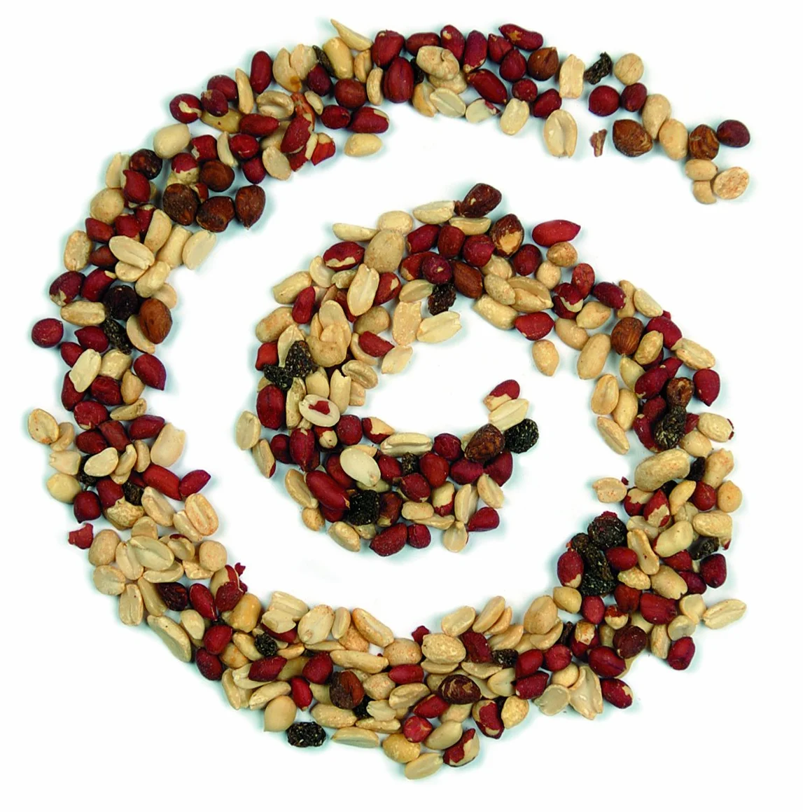 Aliments complémentaires pour Écureuil 600gr (2 sachets),