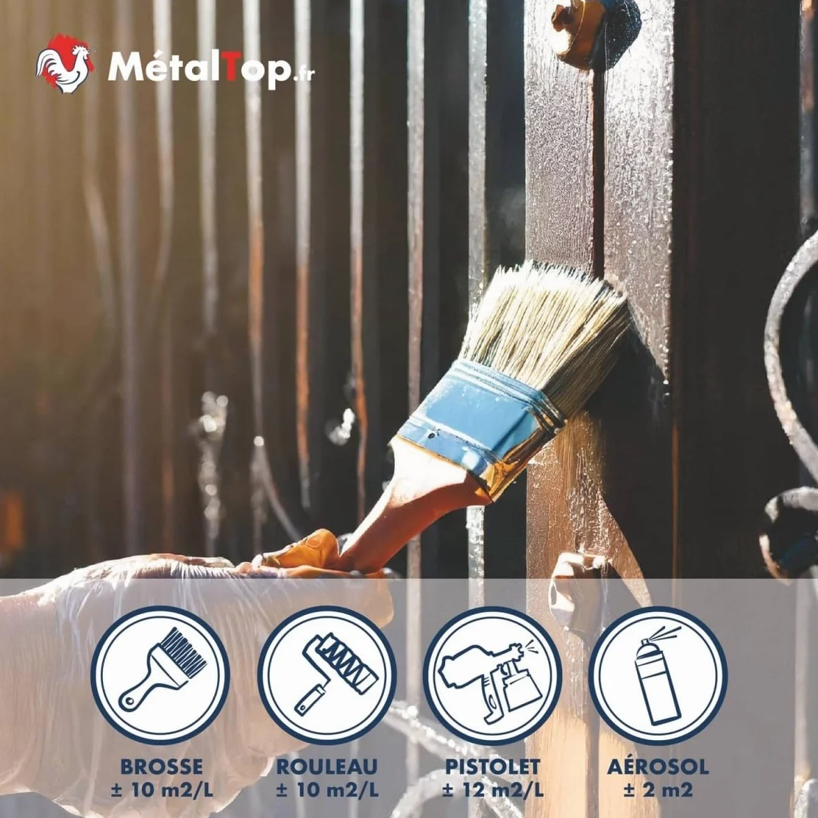 Metaltop Antirouille Incolore 1 L Protection transparente contre la rouille pour métaux