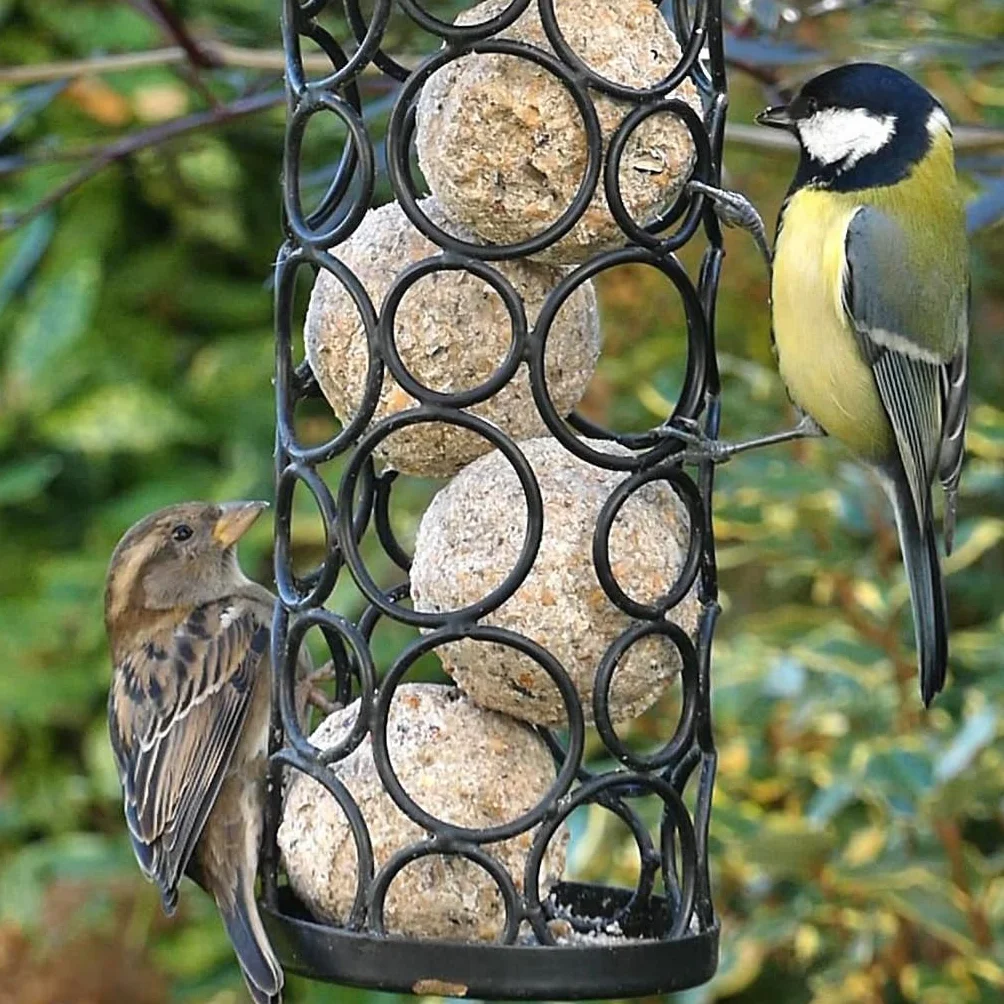 Boules Graisse VÉGÉTALE pour Oiseaux du Jardin – Fabriqué en France – 200 Boules sans Huile de Palme