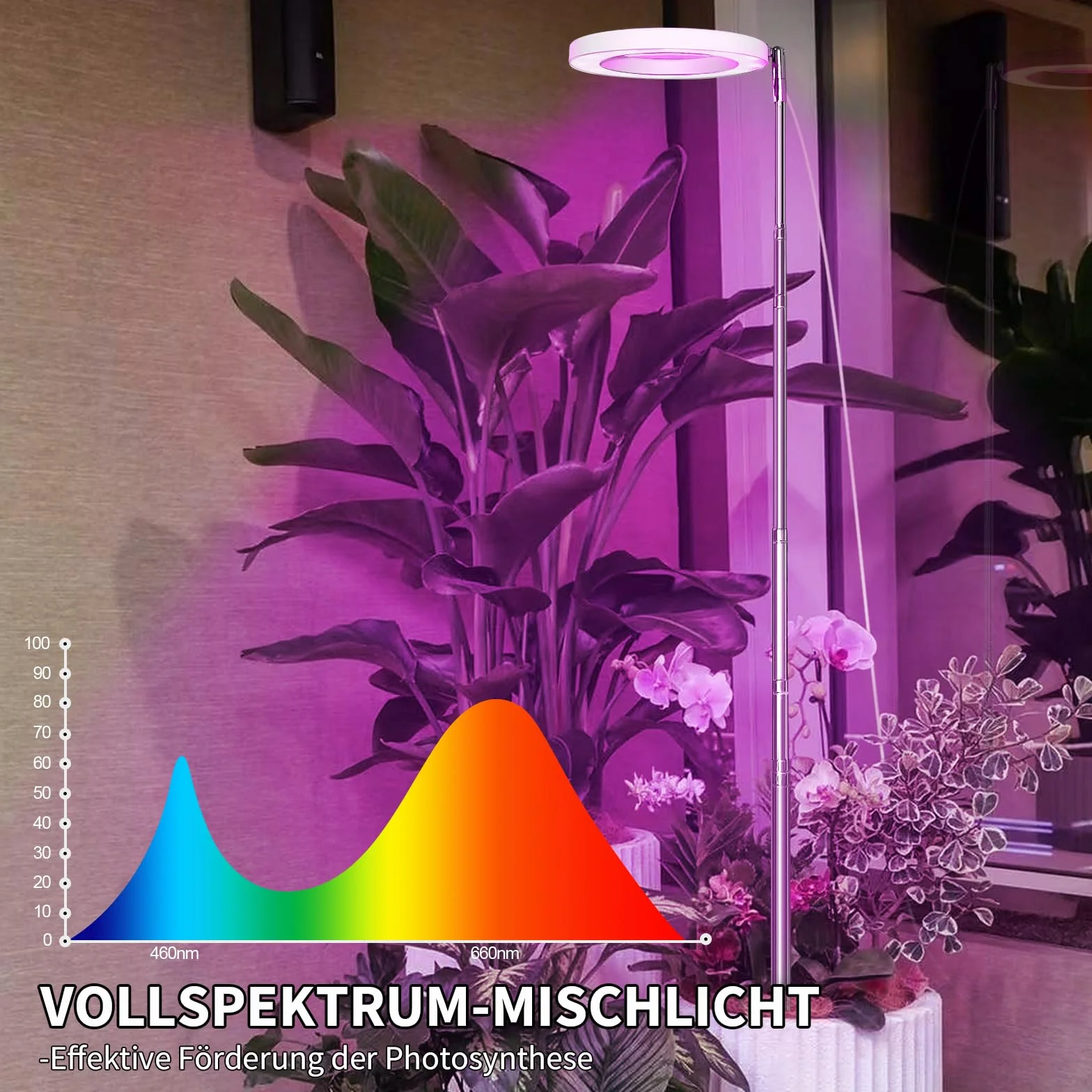 Qoolife Lampe Végétale LED à spectre complet pour plantes d'intérieur, 155 cm, hauteur réglable avec 72 LED, 3 niveaux de luminosité à intensité variable, minuterie 3/9/12 heures 2 paquets Blanc