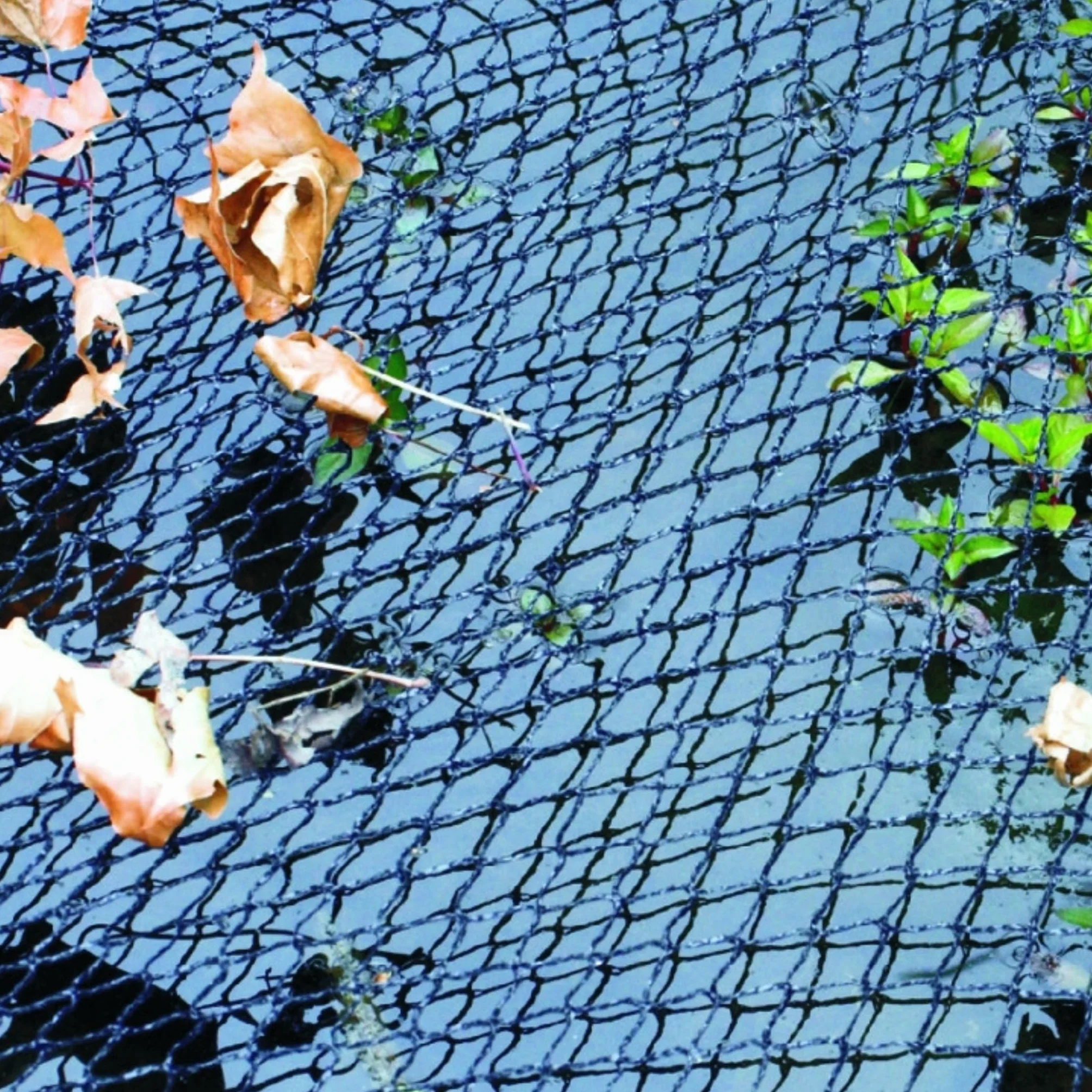Filet de protection pour bassin d'agrément Cover Net 6 x 10 m