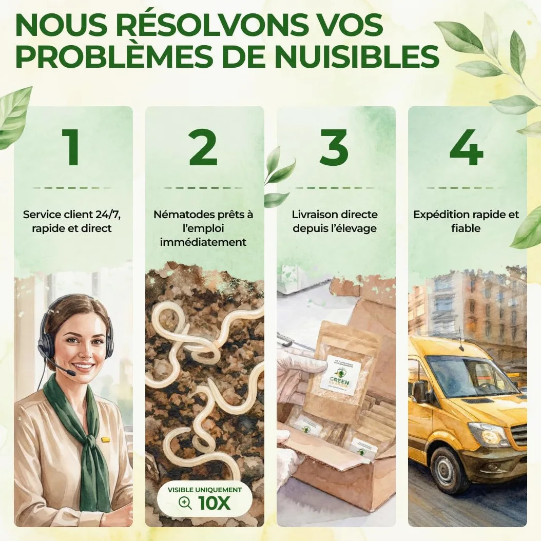 GREEN GUARDIA Super Nématodes SC contre les grillades de taupes, les becs des prairies et les terres extérieures – 200 millions (400 m²) – Produit biologique pour lutter efficacement contre les