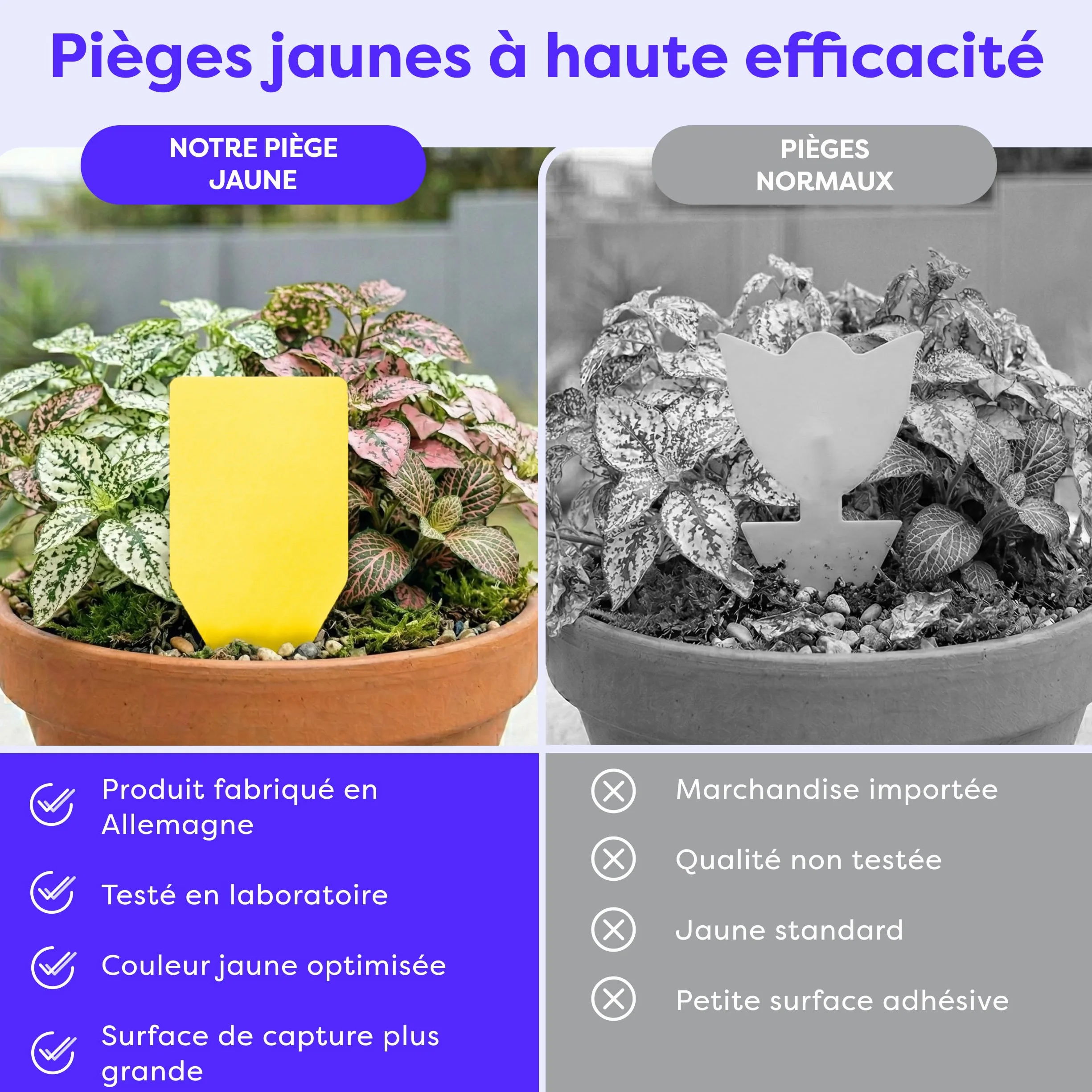 Wolkenfeld Piège à Moucherons Plantes 30 Pièces Stickers Jaunes – Anti Moucherons Interieur, Attrape Moucheron Adhésif Double Face, sans Insecticide – Plantes d’Intérieur & Serre – Made in Germany