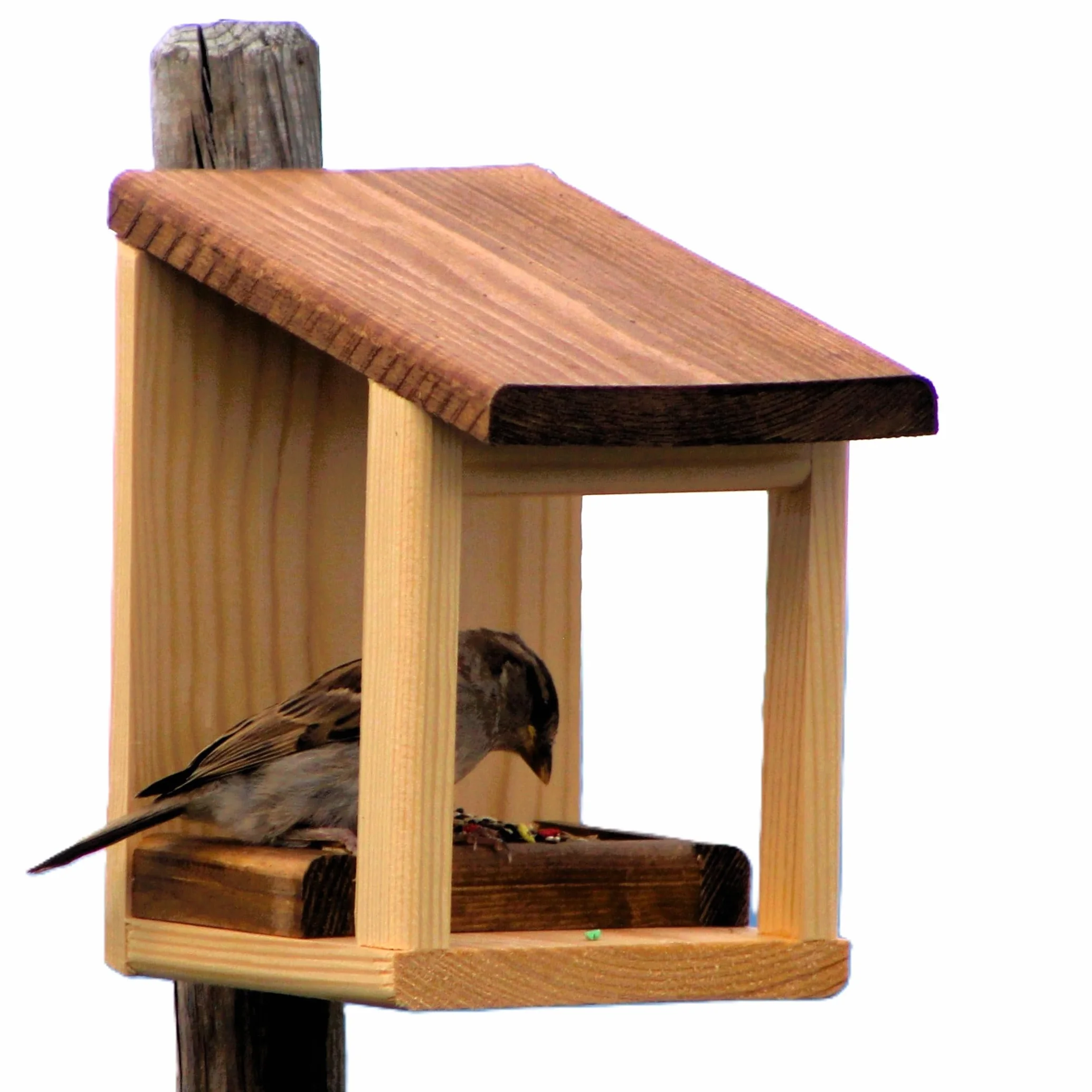 Mangeoire pour oiseaux 'Basic'