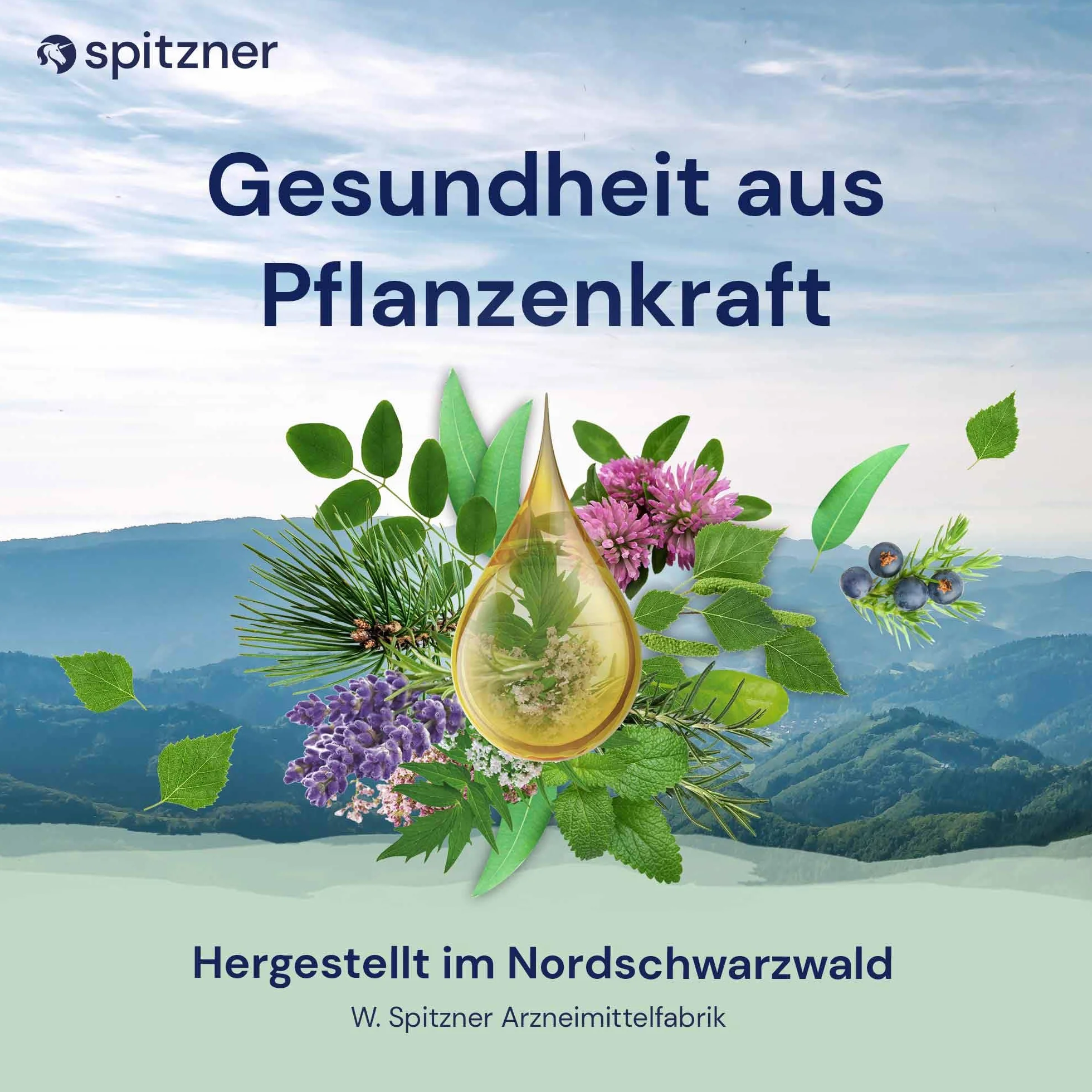 Spitzner Infusion pour sauna à la Rose floral-velouté 1000 ml – concentré naturel bien-être