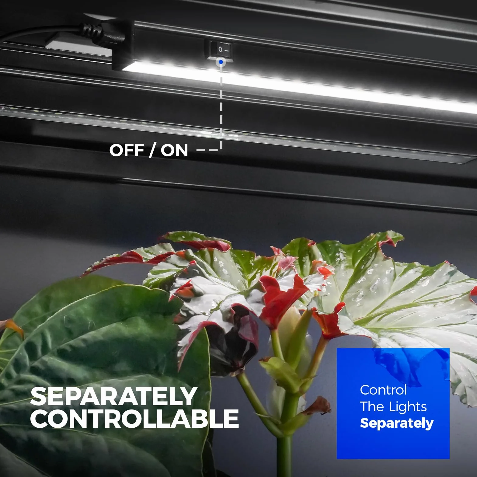 Barrina T5 Lampe Plante Interieur, 5000K,59cm, Lumière Solaire à Spectre Complet, Connectable, Couvercle Noir, Magnétique, Bande LED de Lumière de Croissance avec Interrupteur, Plug and Play,Pack de 4