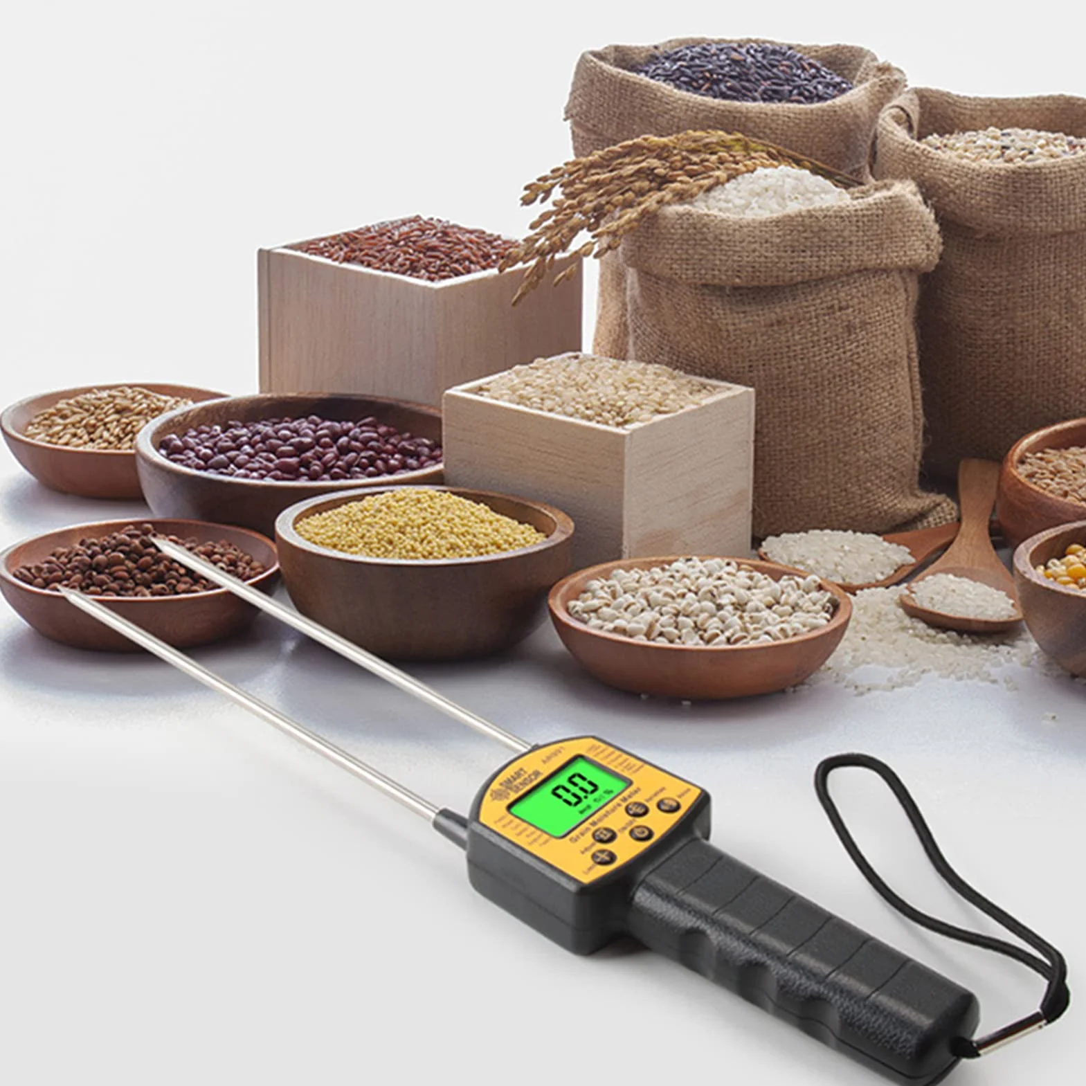 AR991 Humidimètre Numérique LCD pour Grain, Testeur d'Humidité Portable, Analyseur de Teneur en Eau avec Sonde