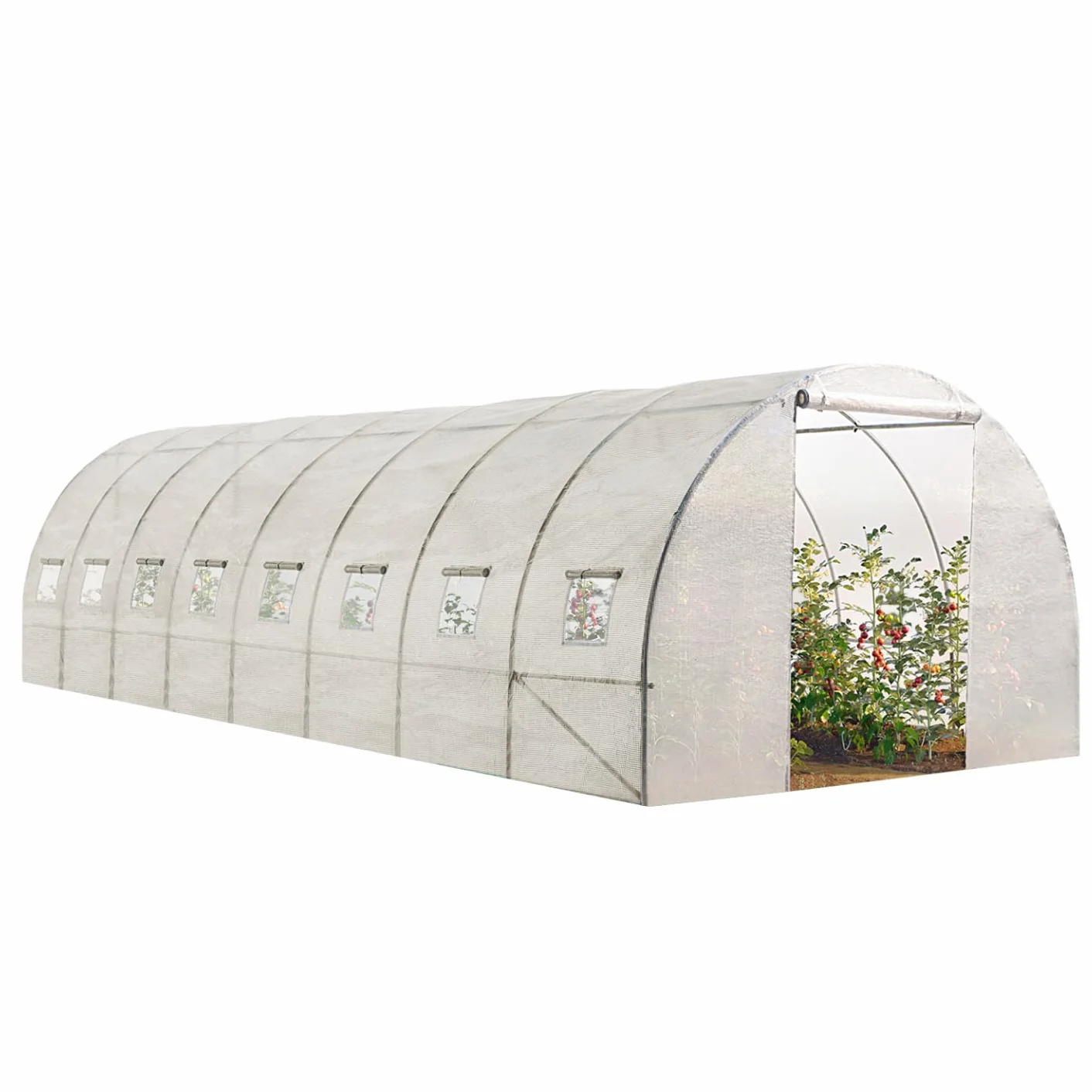 IDMarket - Serre Tunnel de Jardin 24M² Blanche Gamme maraîchère des Andes 8x3M