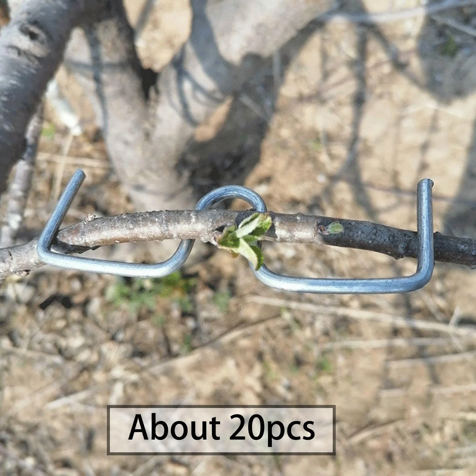 Epandeur de Branches, Plantes Tige Formateur, Arbre Branche Extracteur Fil D'acier Jardin Nouvelles Branches Croissance Formes Soutien Fruits, pour Soutenir La Croissance de Nouvelles Branches, M13cm