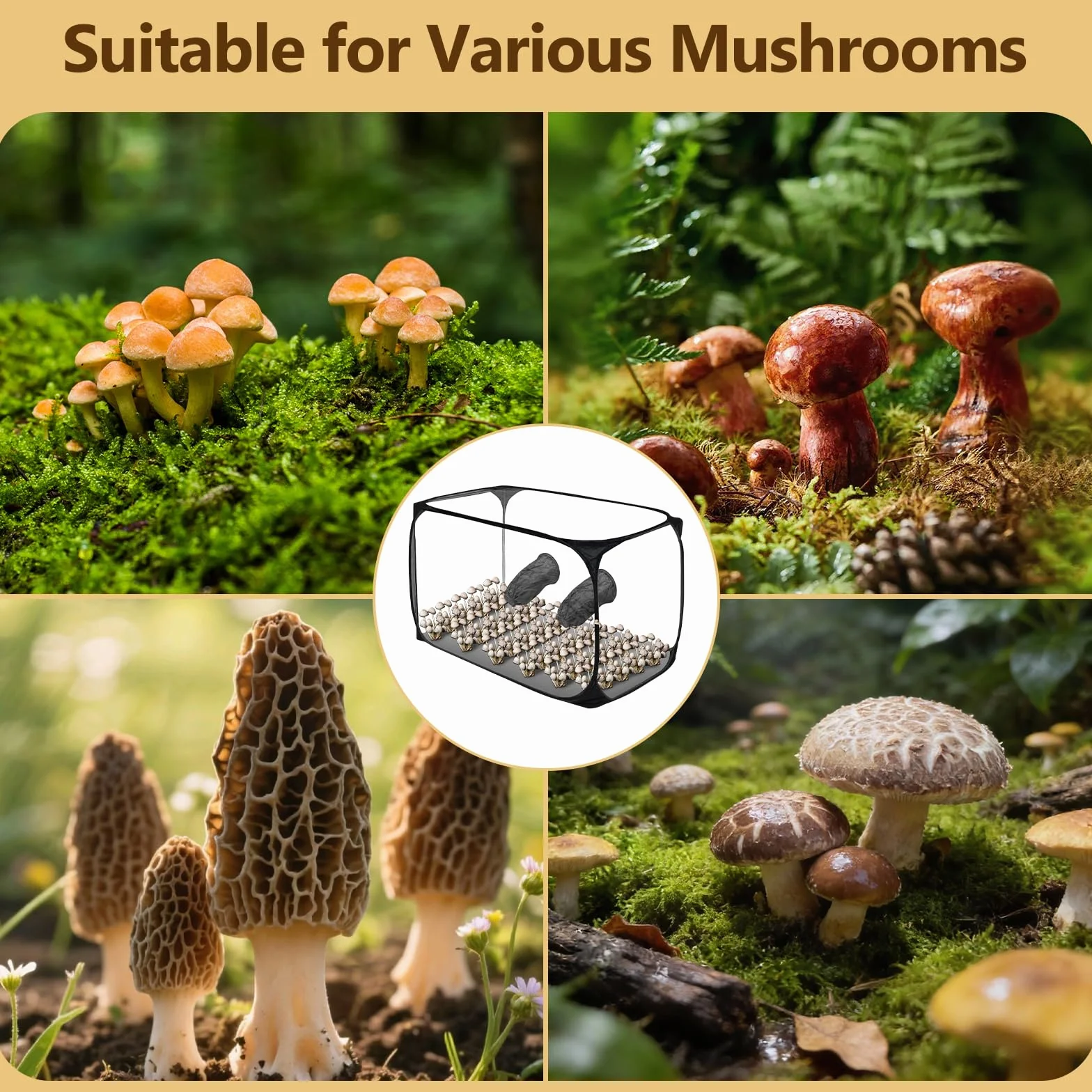 Grande tente de culture de champignons 82 x 52 x 52 cm - Boîte de culture avec boîte à air silencieuse, pliable, deux ouvertures pour les bras
