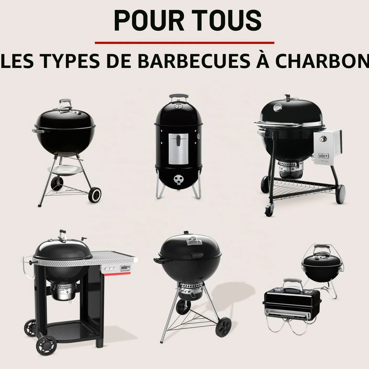 Weber Briquettes de Charbon de Bois Naturel pour Barbecue, Allumage Rapide 20 Min, Longue Combustion 3 Heures, 4 kg