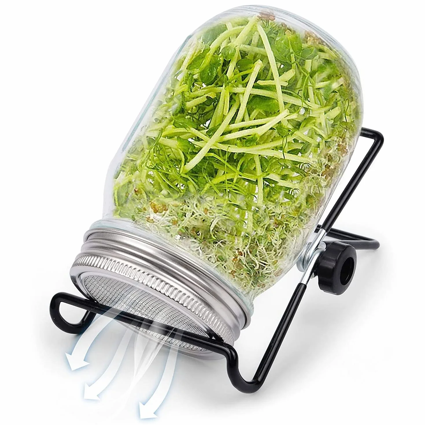 Kit de germination de graines Retoteng avec couvercles inox, supports, germinateur pour microgreens luzerne, brocoli et salade de haricots