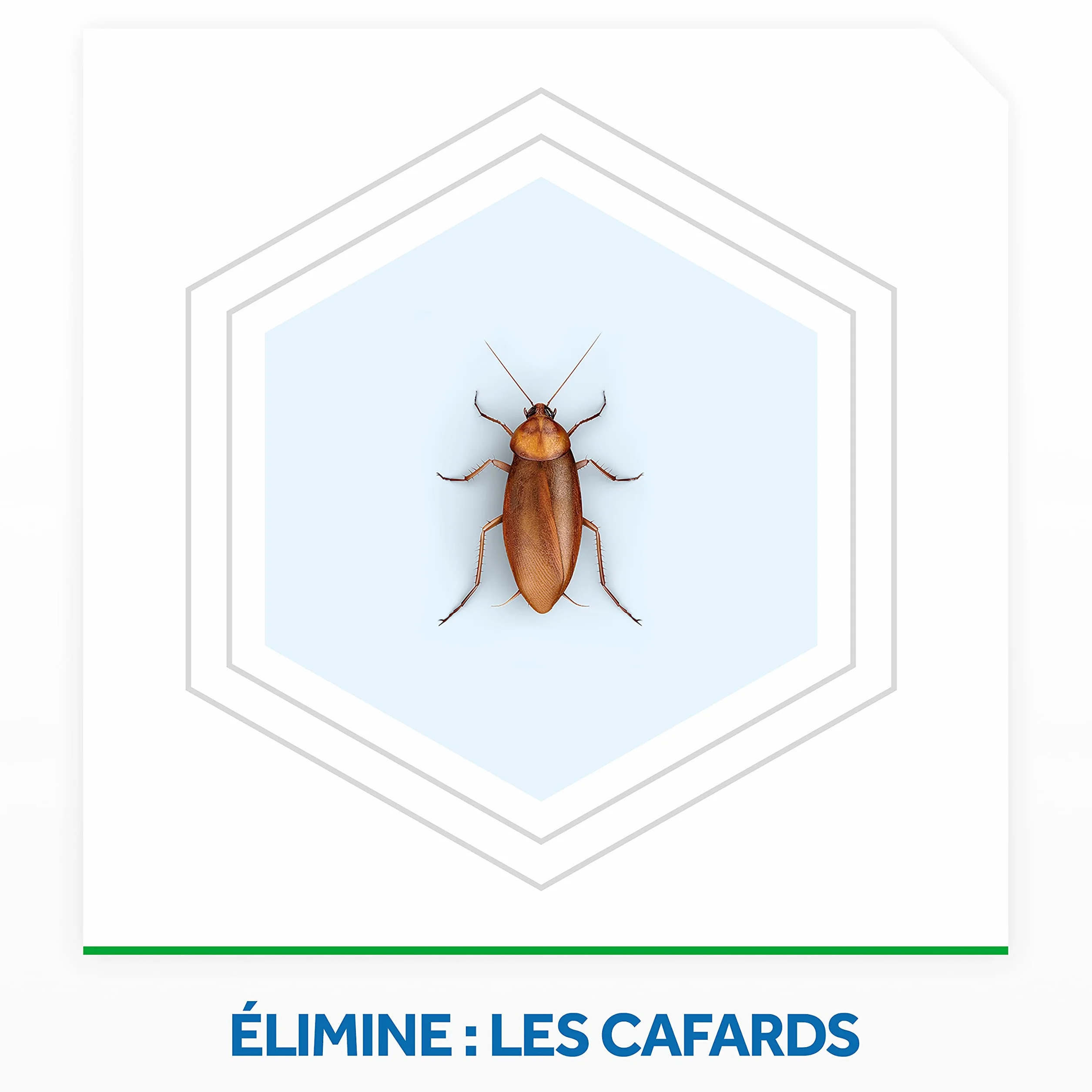 Baygon Pièges Anti-Cafards 6 Boîtes Protection Cuisine 3 Mois Efficacité Continue Sans Odeur