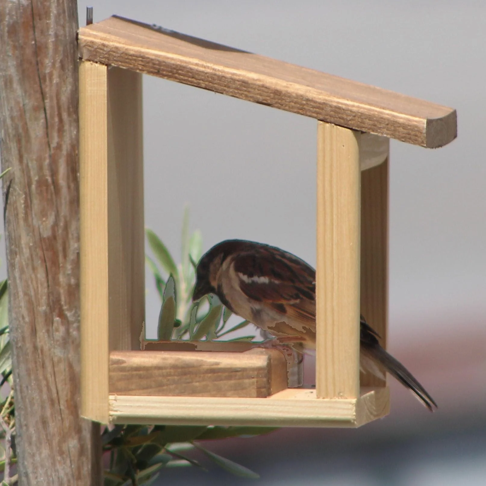 Mangeoire pour oiseaux 'Basic'